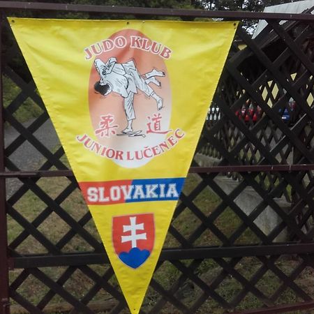 Turisticka Ubytovna Hotel Divín エクステリア 写真