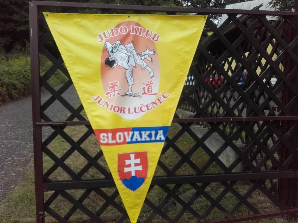 Turisticka Ubytovna Hotel Divín エクステリア 写真